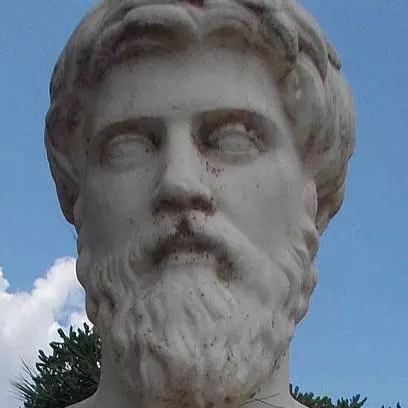plutarch head only