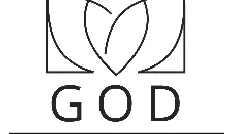 god and consciousness