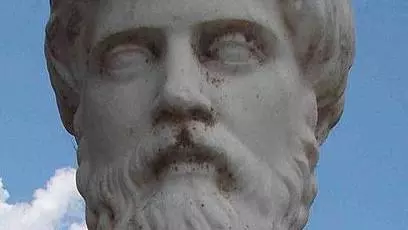 plutarch head only