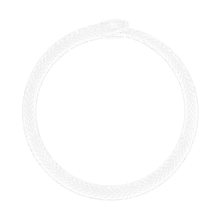 white snake no background rev